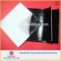 HDPE LDPE LLDPE PVC EVA Geomembranes zusammengesetzte Haustier-pp. Nichtgewebte Geotextilien